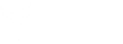 Elevated Esthetics Spa